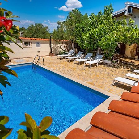 Olive House Zadar Villa Eksteriør billede