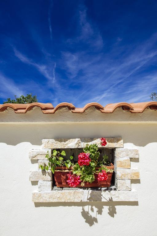 Olive House Zadar Villa Eksteriør billede